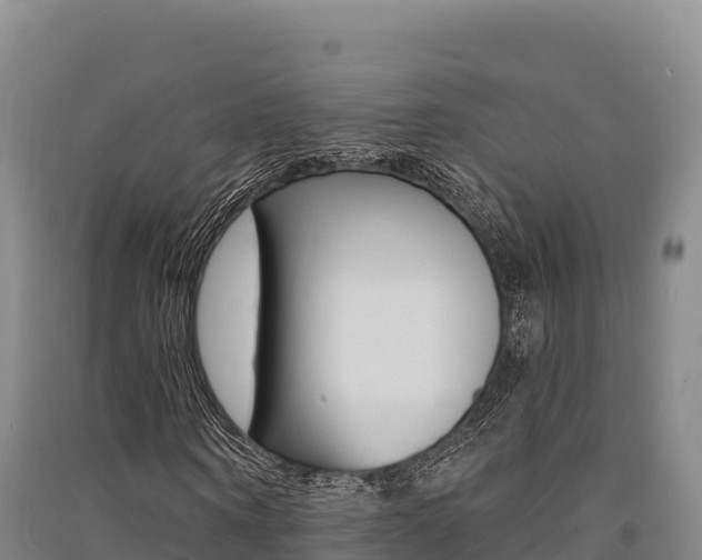 X0000091560866200708171059