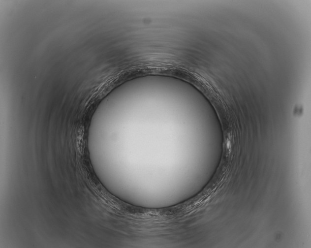 X0000091560867200708171059