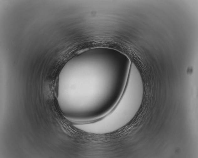 X0000091560868200708171059