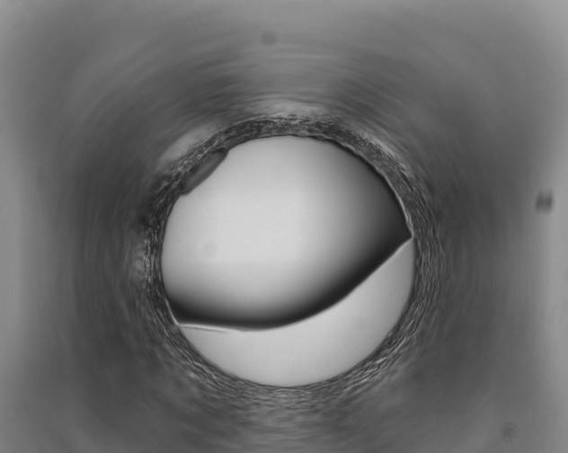 X0000091560869200708171059