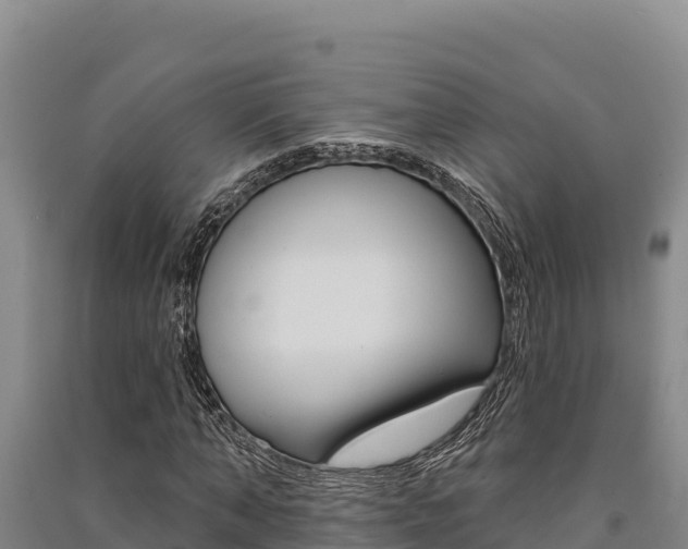 X0000091560870200708171059