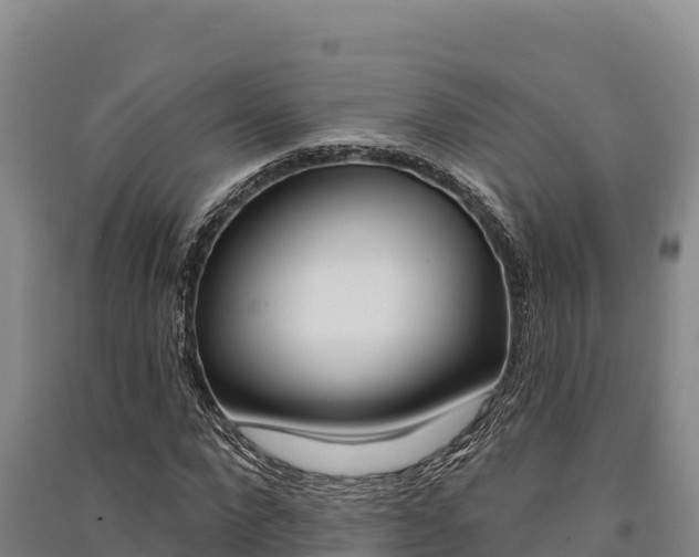 X0000091560872200708171059