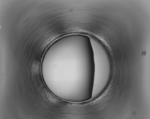 X0000091560873200708171059