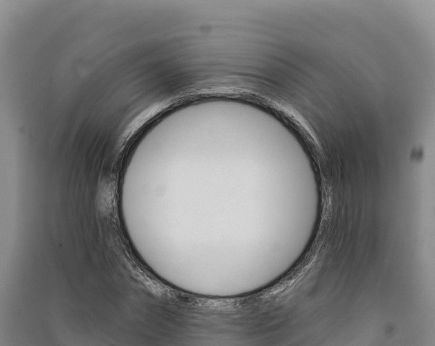 X0000091560874200708171059
