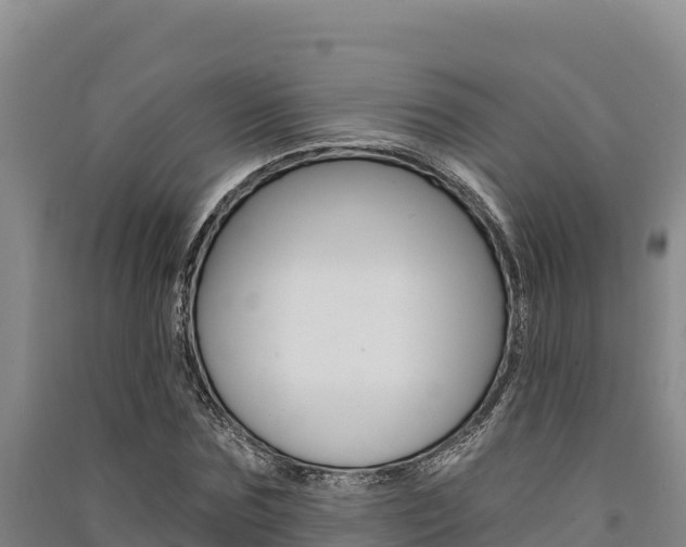 X0000091560875200708171059