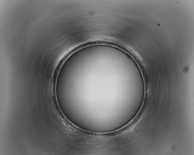 X0000091560877200708171059