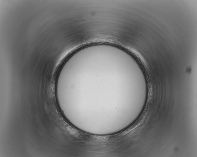 X0000091560878200708171059