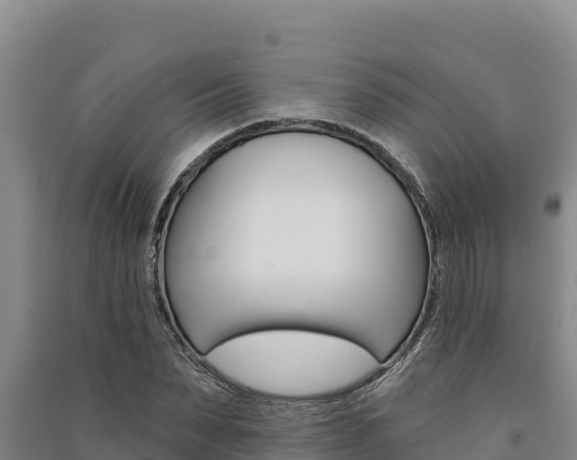 X0000091560879200708171059