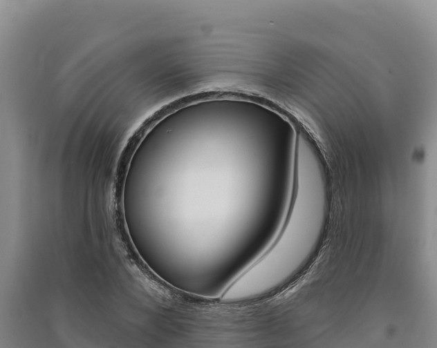 X0000091560880200708171059