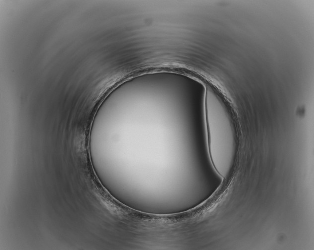 X0000091560881200708171059