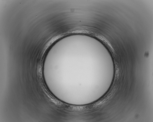 X0000091560882200708171059