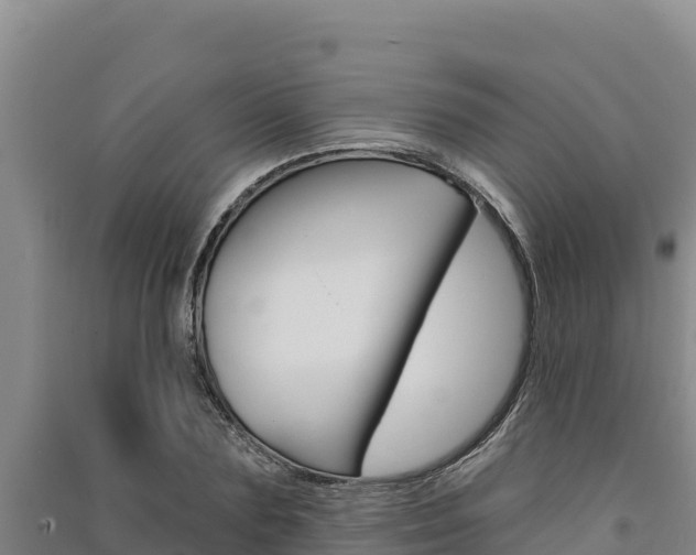 X0000091560883200708171059