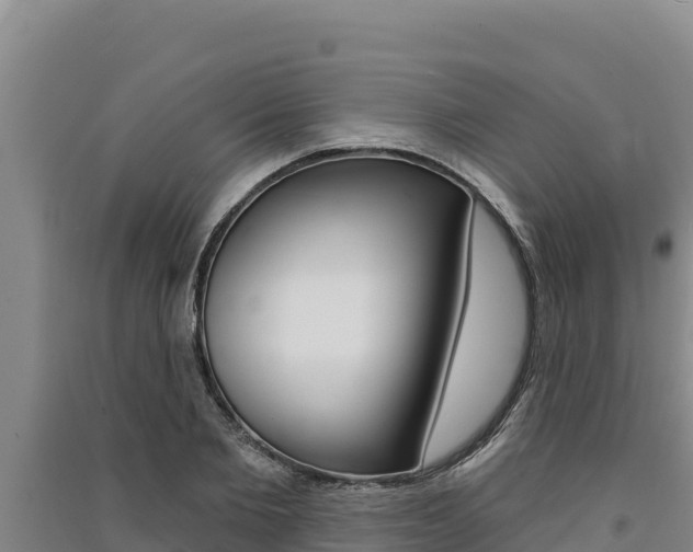 X0000091560885200708171059