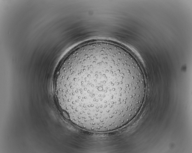 X0000091560887200708171059