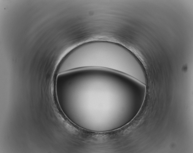 X0000091560888200708171059