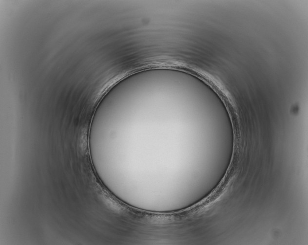 X0000091560889200708171059