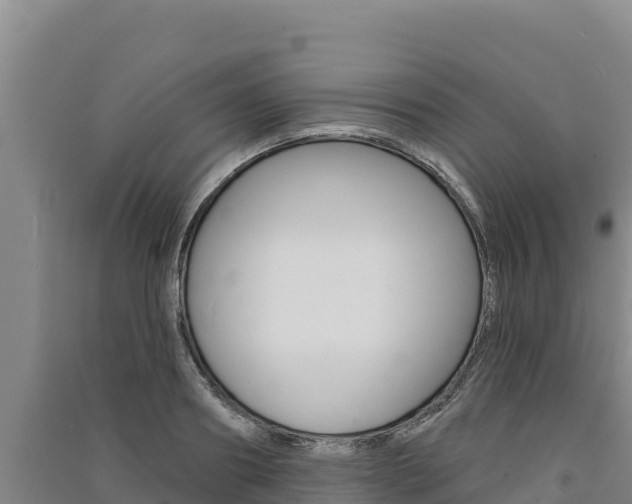 X0000091560890200708171059