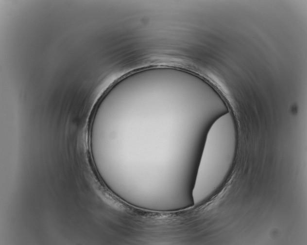 X0000091560891200708171059
