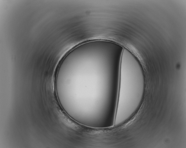 X0000091560892200708171059