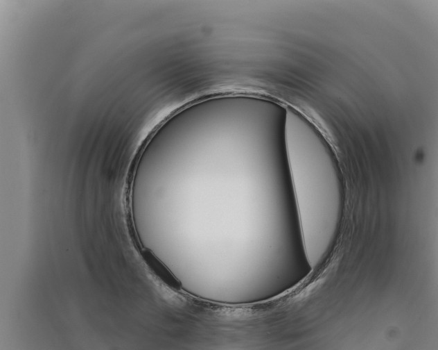 X0000091560893200708171059