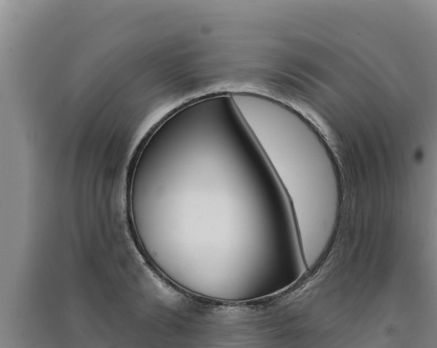 X0000091560894200708171059