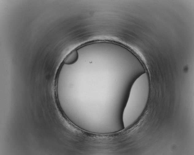 X0000091560895200708171059