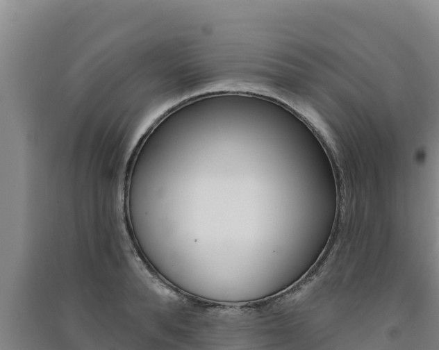 X0000091560896200708171059
