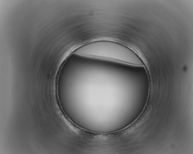 X0000091560898200708171059