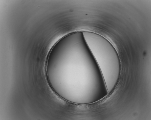 X0000091560901200708171059