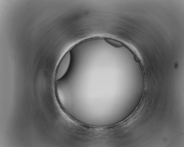 X0000091560903200708171059