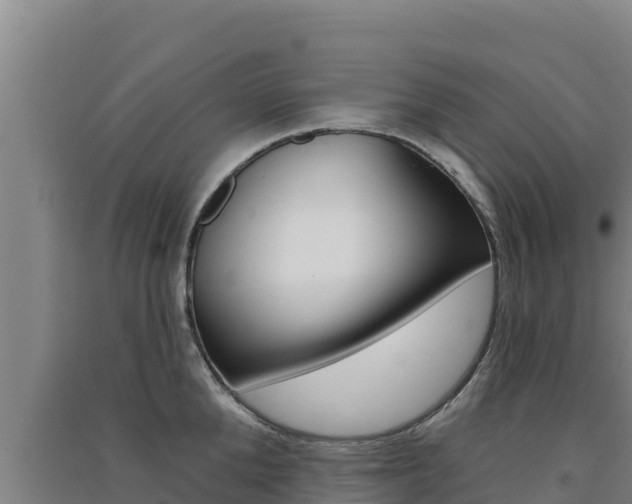 X0000091560904200708171059