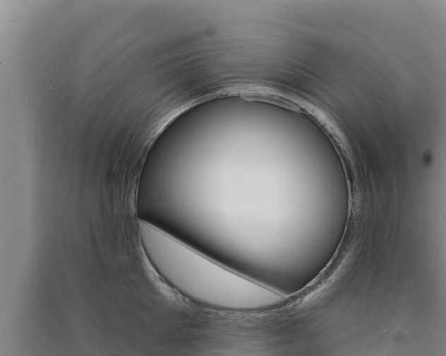 X0000091560905200708171059