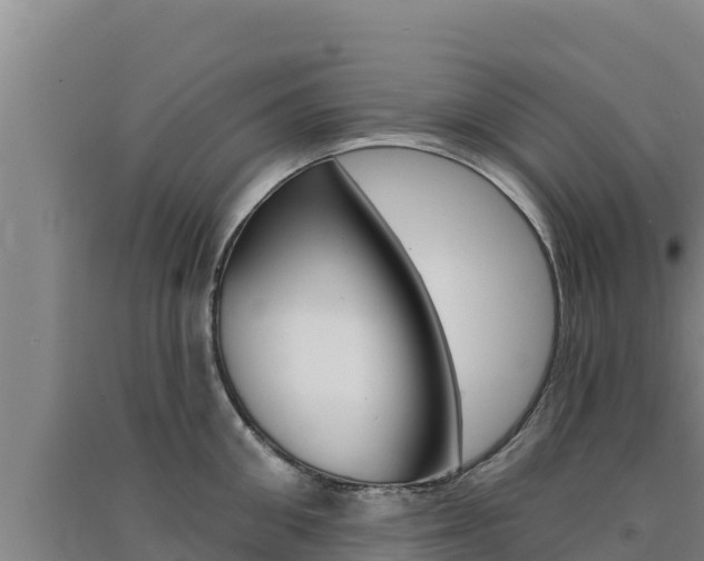 X0000091560906200708171059