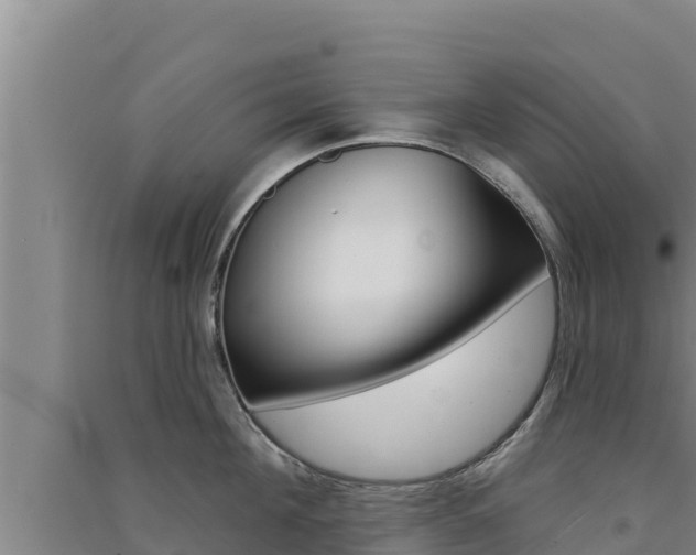 X0000091560908200708171059