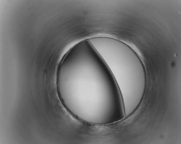 X0000091560910200708171059