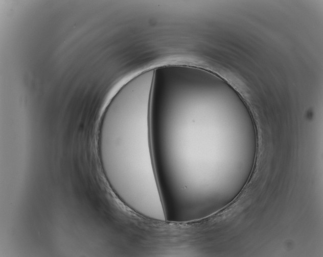 X0000091560912200708171059
