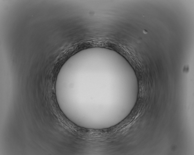 X0000091560913200708171058