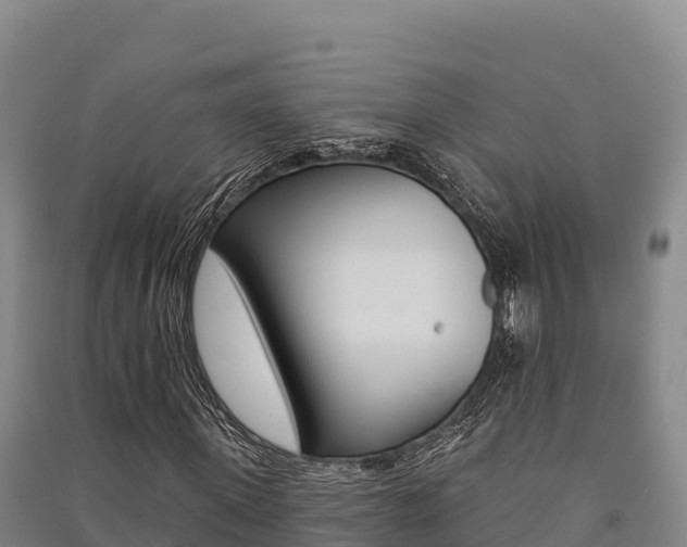 X0000091560915200708171058