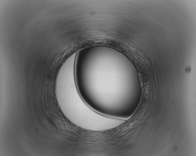 X0000091560916200708171058