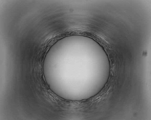 X0000091560917200708171058