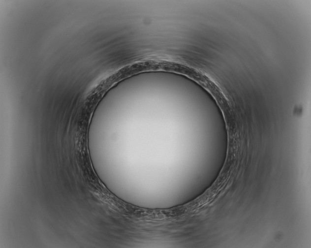 X0000091560919200708171058
