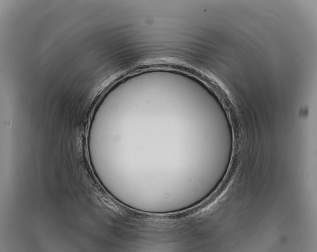 X0000091560921200708171058