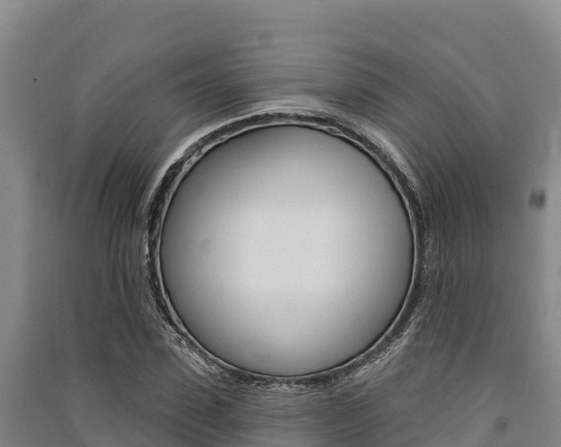 X0000091560923200708171058