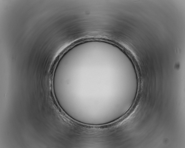 X0000091560925200708171058