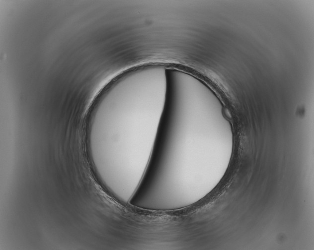 X0000091560926200708171058