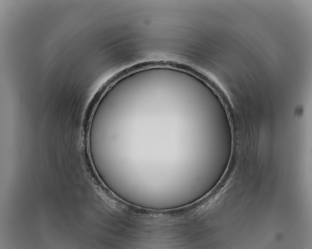 X0000091560927200708171058