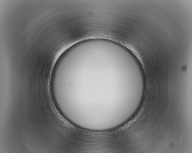 X0000091560928200708171058