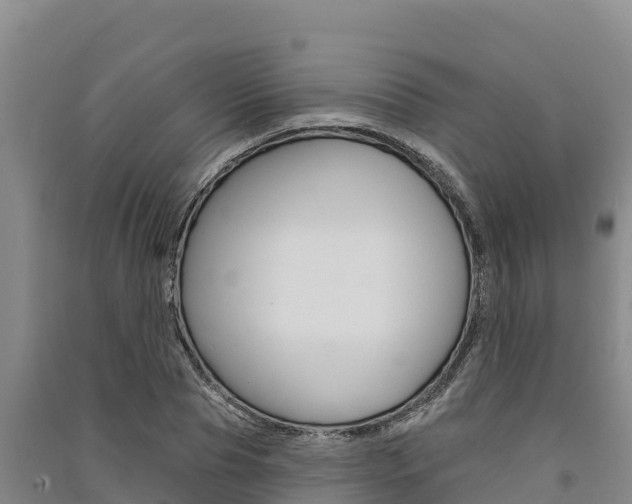 X0000091560929200708171058