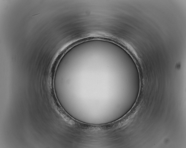 X0000091560931200708171058