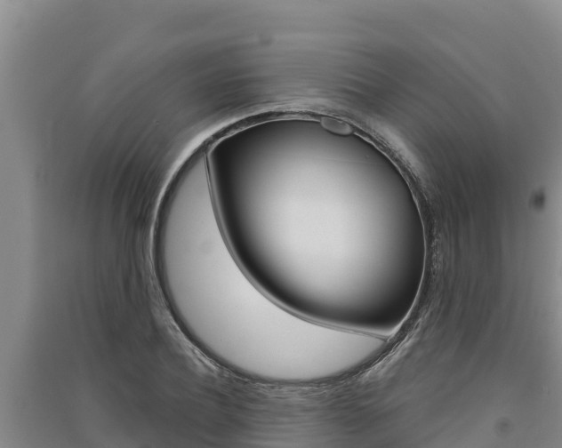 X0000091560932200708171058